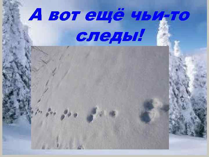 А вот ещё чьи-то следы! 