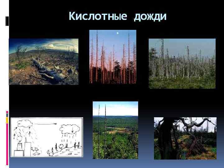 Кислотные дожди 