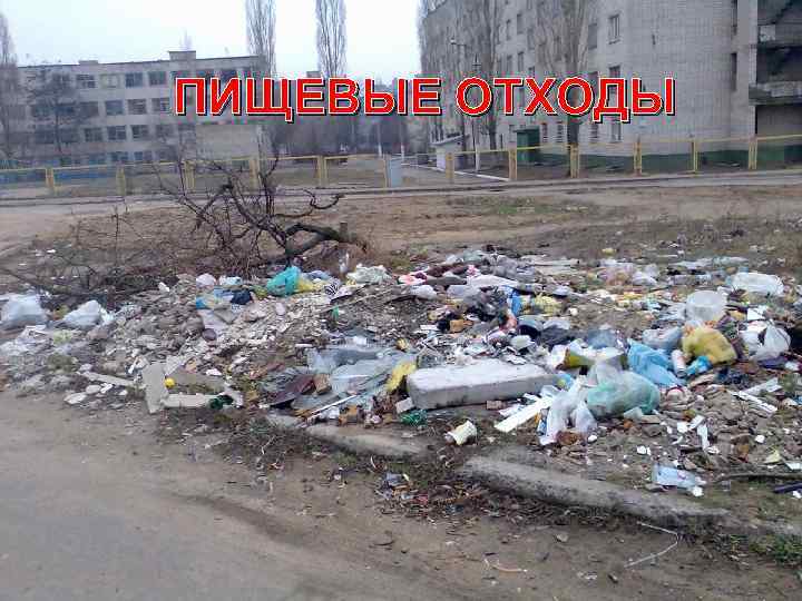 ПИЩЕВЫЕ ОТХОДЫ 