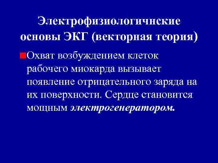 Электрофизиологичнские основы ЭКГ (векторная теория) Охват возбуждением клеток рабочего миокарда вызывает появление отрицательного заряда