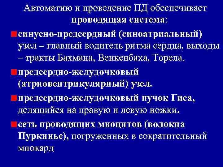 Автоматию и проведение ПД обеспечивает проводящая система: синусно-предсердный (синоатриальный) узел – главный водитель ритма