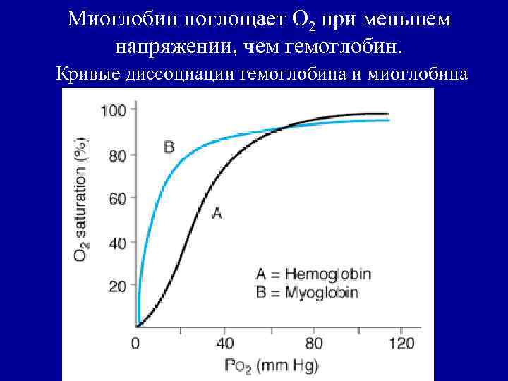 Показатель насыщения гемоглобина