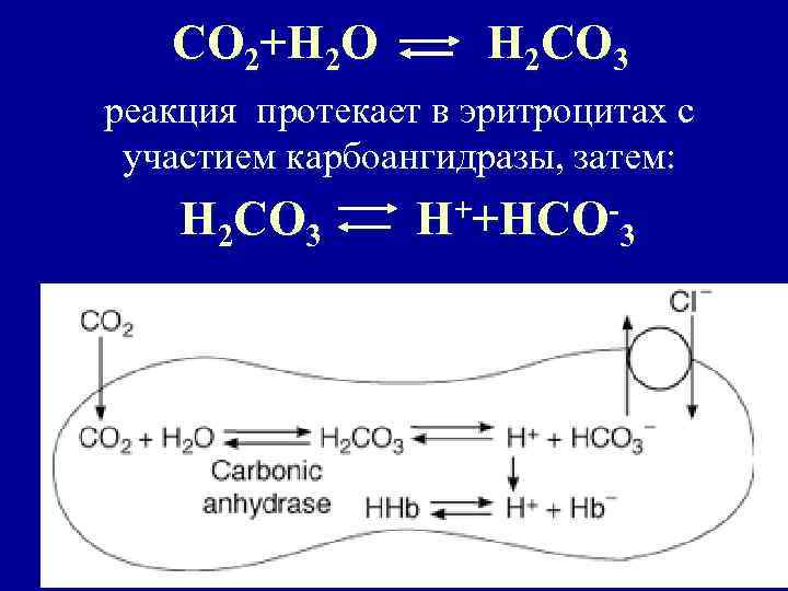 Со2 н2о