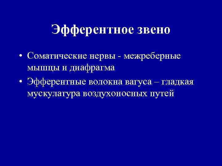 Эфферентное звено • Соматические нервы - межреберные мышцы и диафрагма • Эфферентные волокна вагуса