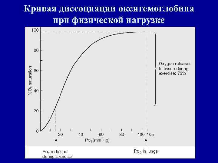 Диссоциация оксигемоглобина