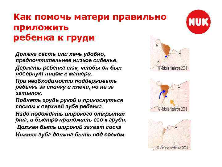 Как помочь матери правильно приложить ребенка к груди Должна сесть или лечь удобно, предпочтительнее