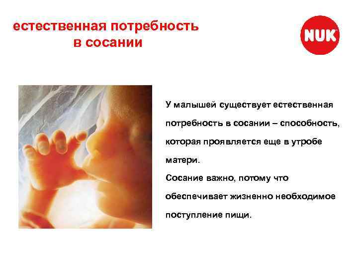естественная потребность в сосании У малышей существует естественная потребность в сосании – способность, которая