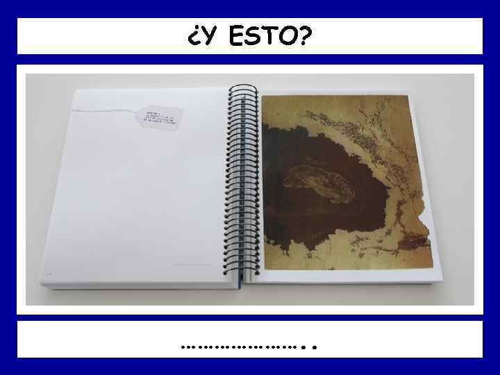 ¿Y ESTO? …………………. . 
