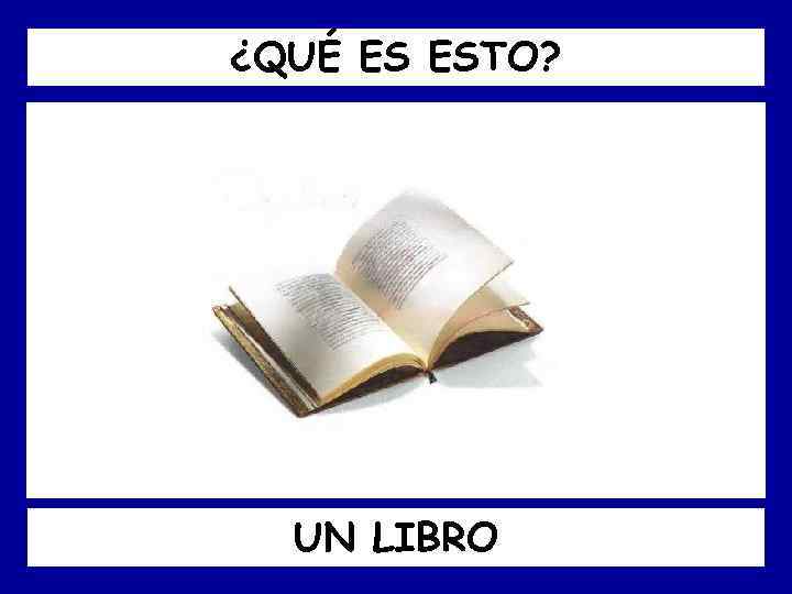 ¿QUÉ ES ESTO? UN LIBRO 