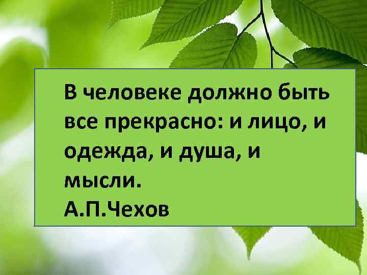 В человеке должно быть все прекрасно: и лицо, и одежда, и душа, и мысли.