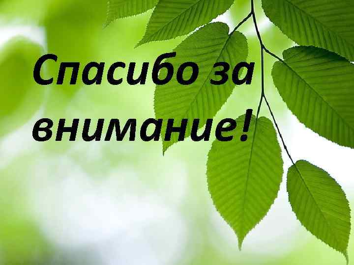 Спасибо за внимание! 