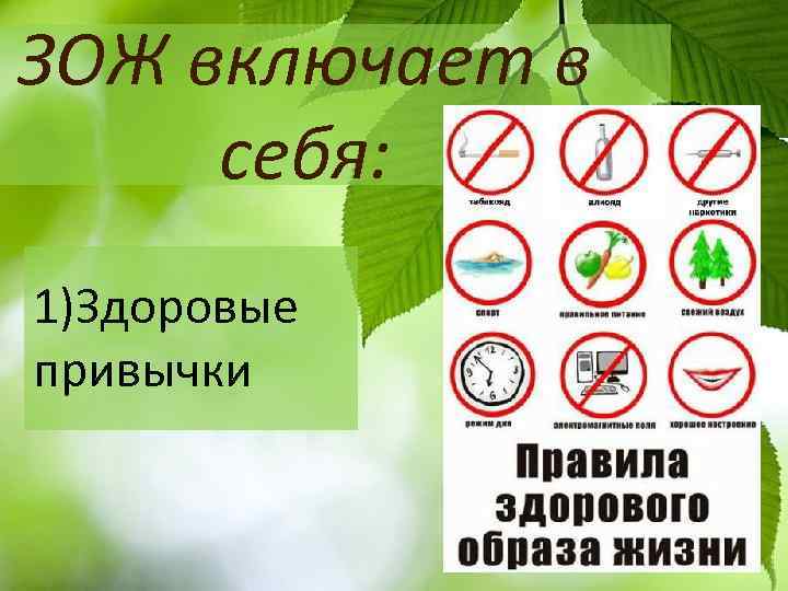 ЗОЖ включает в себя: 1)Здоровые привычки 