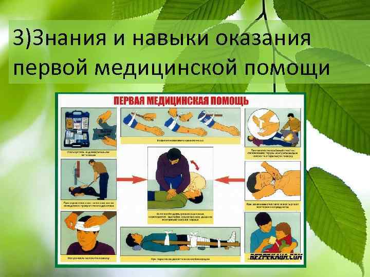 3)Знания и навыки оказания первой медицинской помощи 