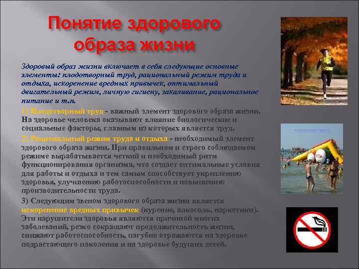 Здоровый образ жизни включает в себя следующие основные элементы: плодотворный труд, рациональный режим труда