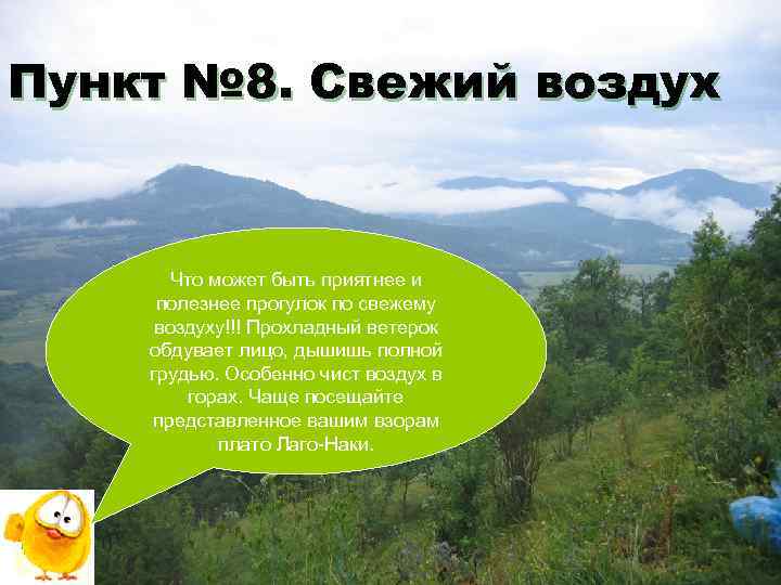 Пункт № 8. Свежий воздух Что может быть приятнее и полезнее прогулок по свежему