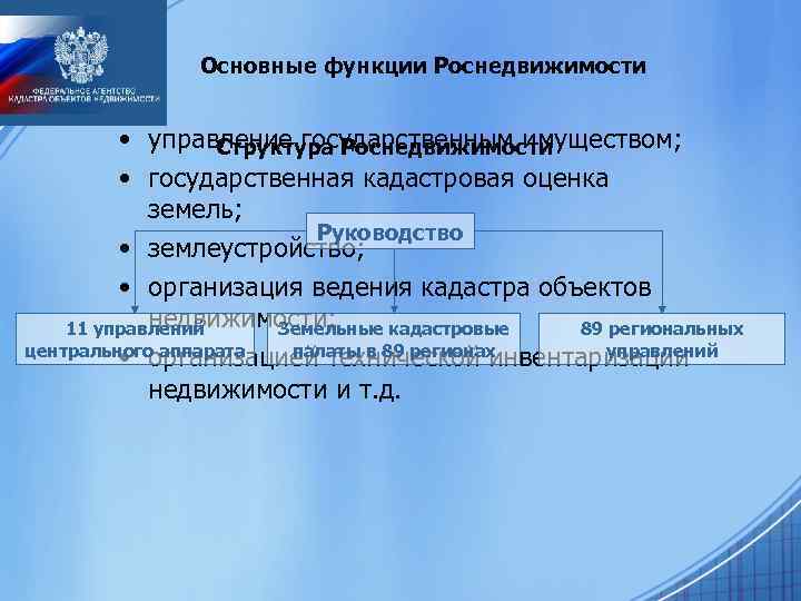 Основные функции Роснедвижимости • управление государственным имуществом; Структура Роснедвижимости • государственная кадастровая оценка земель;
