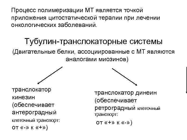 Процесс полимеризации МТ является точкой приложения цитостатической терапии при лечении онкологических заболеваний. Тубулин-транслокаторные системы