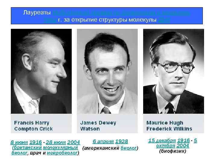 Лауреаты Нобелевской премии по физиологии и медицине 1962 г. за открытие структуры молекулы ДНК