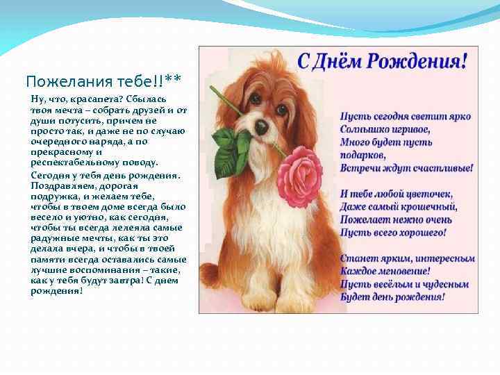 Пожелания тебе!!** Ну, что, красапета? Сбылась твоя мечта – собрать друзей и от души