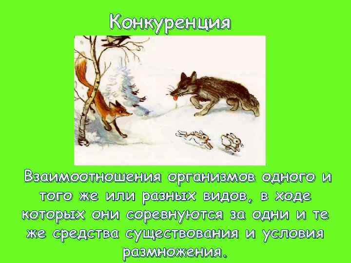 Конкуренция Взаимоотношения организмов одного и того же или разных видов, в ходе которых они