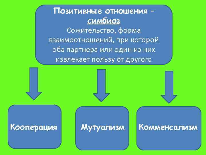 Позитивные отношения – симбиоз Сожительство, форма взаимоотношений, при которой оба партнера или один из