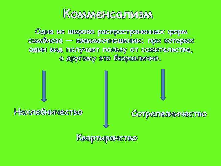 Комменсализм Одна из широко распространенных форм симбиоза — взаимоотношении; при которых один вид получает