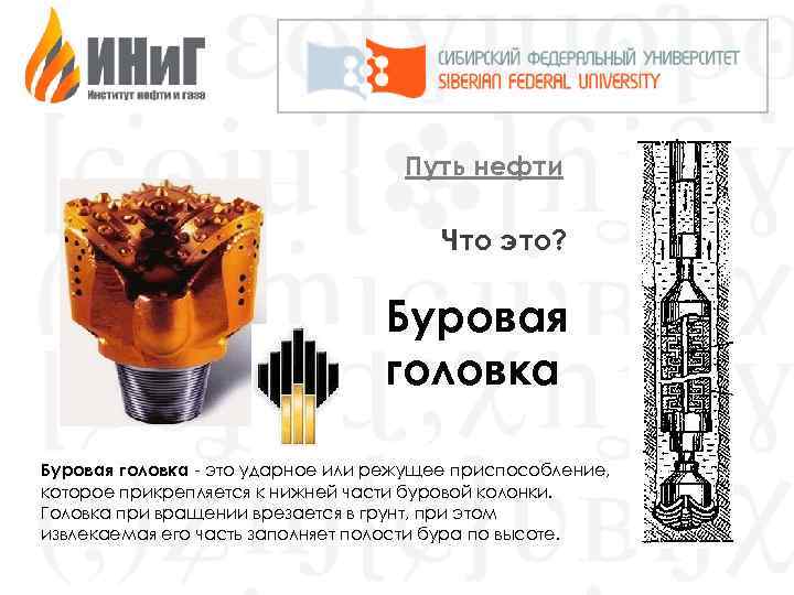 Путь нефти Что это? Буровая головка - это ударное или режущее приспособление, которое прикрепляется