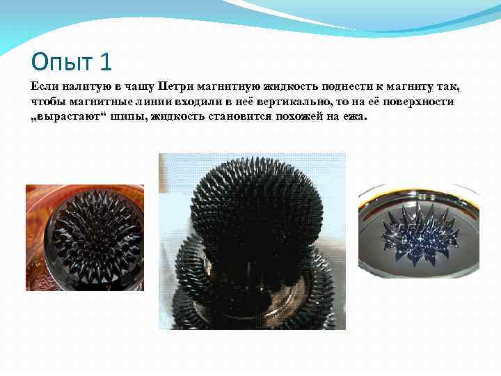 Опыт 1 Если налитую в чашу Петри магнитную жидкость поднести к магниту так, чтобы