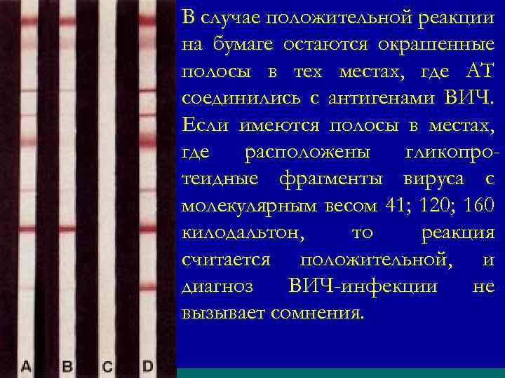 В случае положительной реакции на бумаге остаются окрашенные полосы в тех местах, где АТ