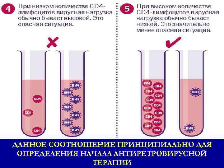 ДАННОЕ СООТНОШЕНИЕ ПРИНЦИПИАЛЬНО ДЛЯ ОПРЕДЕЛЕНИЯ НАЧАЛА АНТИРЕТРОВИРУСНОЙ ТЕРАПИИ 