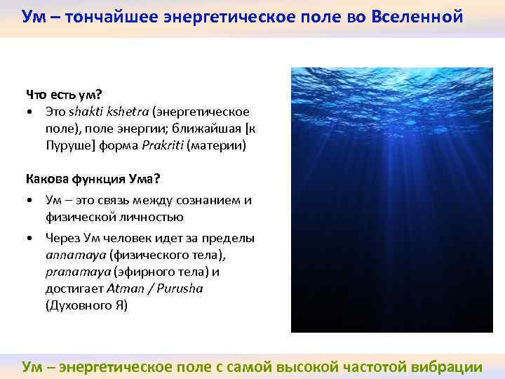 Ум – тончайшее энергетическое поле во Вселенной Что есть ум? • Это shakti kshetra