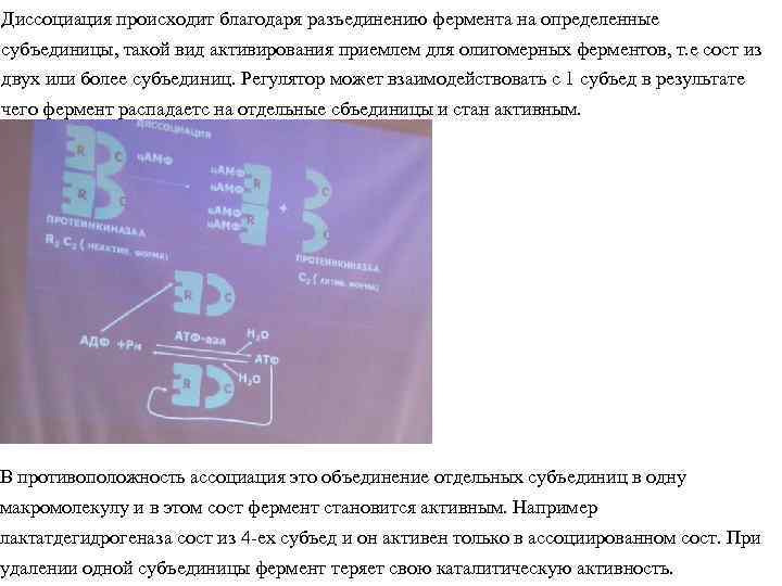 Диссоциация происходит благодаря разъединению фермента на определенные субъединицы, такой вид активирования приемлем для олигомерных