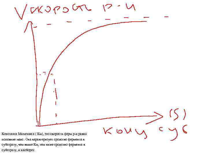 Константа Михаэлиса ( Км), это скорость ферм р-и равна половине макс. Она характеризует сродство