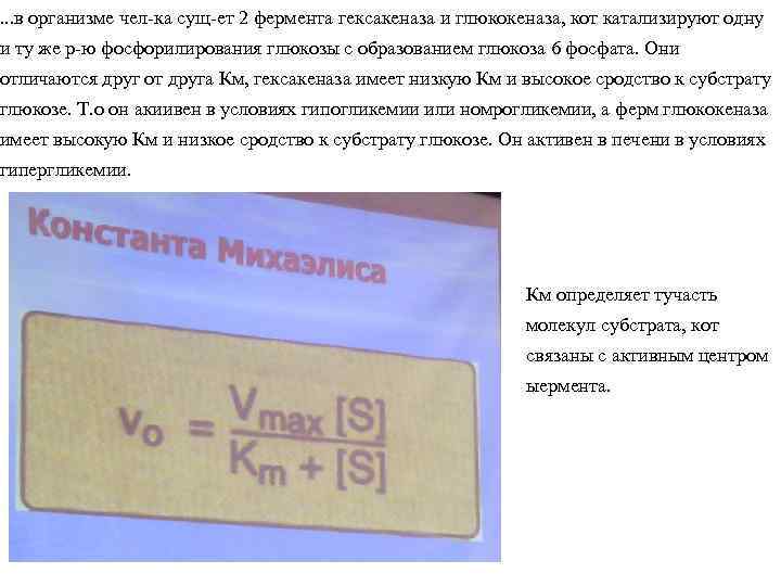 . . . в организме чел-ка сущ-ет 2 фермента гексакеназа и глюкокеназа, кот катализируют