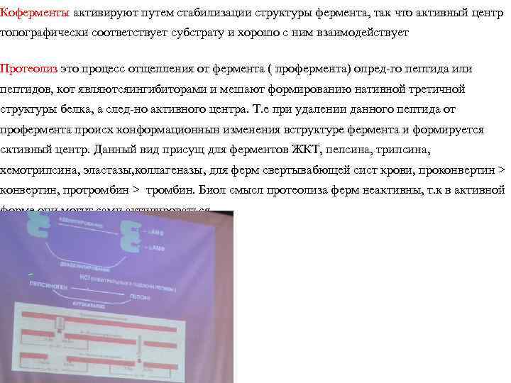 Коферменты активируют путем стабилизации структуры фермента, так что активный центр топографически соответствует субстрату и