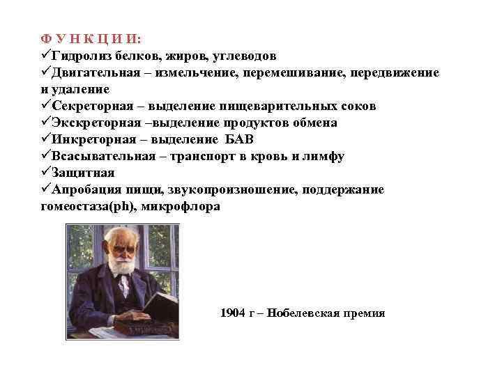 Ф У Н К Ц И И: üГидролиз белков, жиров, углеводов üДвигательная – измельчение,