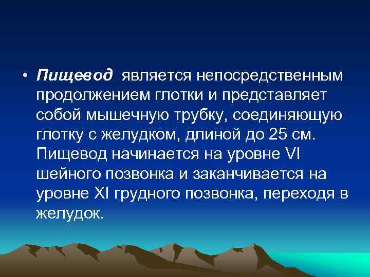  • Пищевод является непосредственным продолжением глотки и представляет собой мышечную трубку, соединяющую глотку