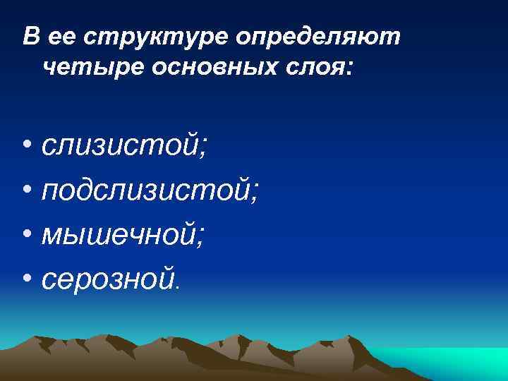 В ее структуре определяют четыре основных слоя: • слизистой; • подслизистой; • мышечной; •