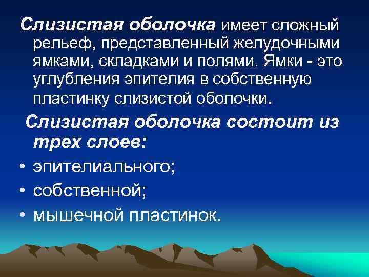 Слизистая оболочка имеет сложный рельеф, представленный желудочными ямками, складками и полями. Ямки - это
