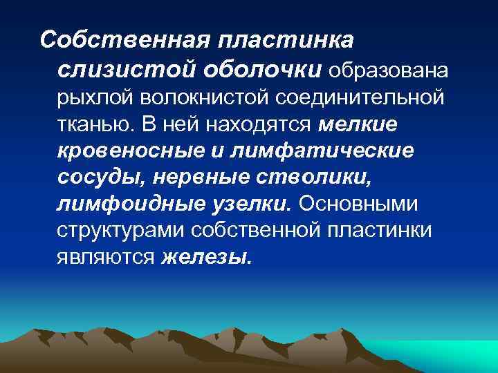 Собственная пластинка слизистой оболочки образована рыхлой волокнистой соединительной тканью. В ней находятся мелкие кровеносные