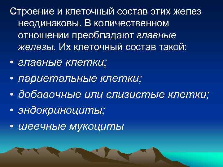 Строение и клеточный состав этих желез неодинаковы. В количественном отношении преобладают главные железы. Их
