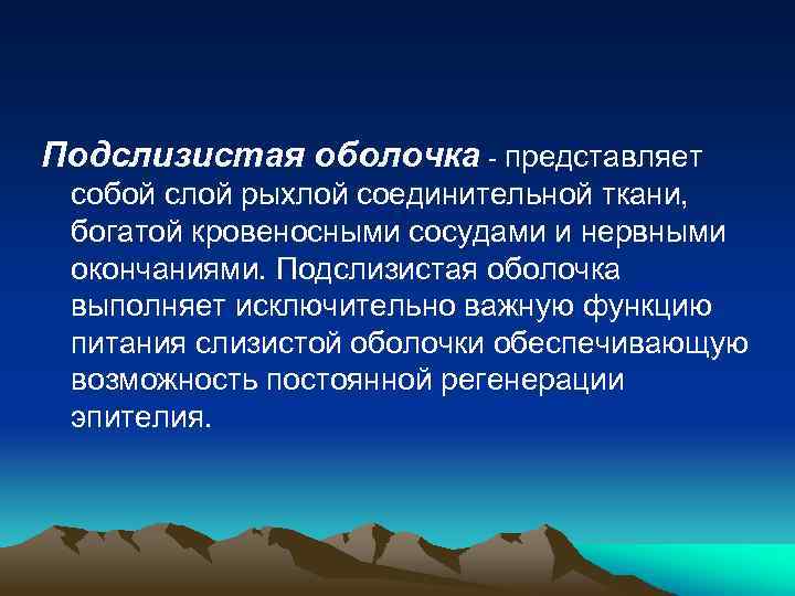 Подслизистая оболочка - представляет собой слой рыхлой соединительной ткани, богатой кровеносными сосудами и нервными