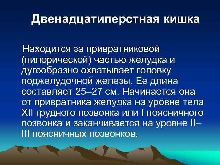 Двенадцатиперстная кишка Находится за привратниковой (пилорической) частью желудка и дугообразно охватывает головку поджелудочной железы.