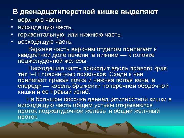 В двенадцатиперстной кишке выделяют • • верхнюю часть, нисходящую часть, горизонтальную, или нижнюю часть,