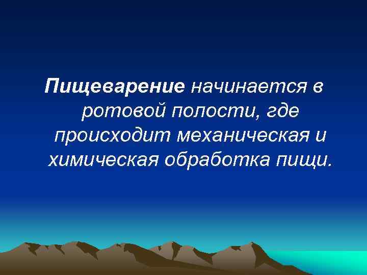 Пищеварение начинается в ротовой полости, где происходит механическая и химическая обработка пищи. 