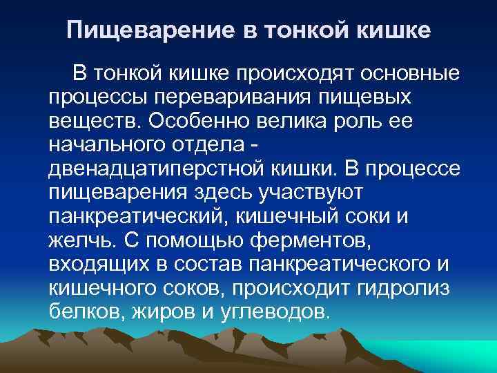 Пищеварение в тонкой кишке В тонкой кишке происходят основные процессы переваривания пищевых веществ. Особенно