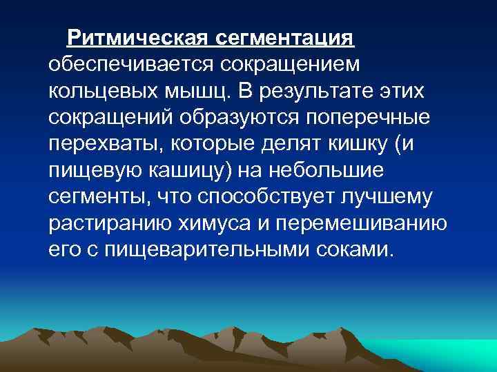 Ритмическая сегментация обеспечивается сокращением кольцевых мышц. В результате этих сокращений образуются поперечные перехваты, которые