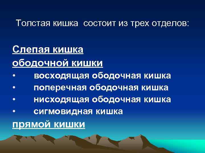 Толстая кишка состоит из трех отделов: Слепая кишка ободочной кишки • • восходящая ободочная