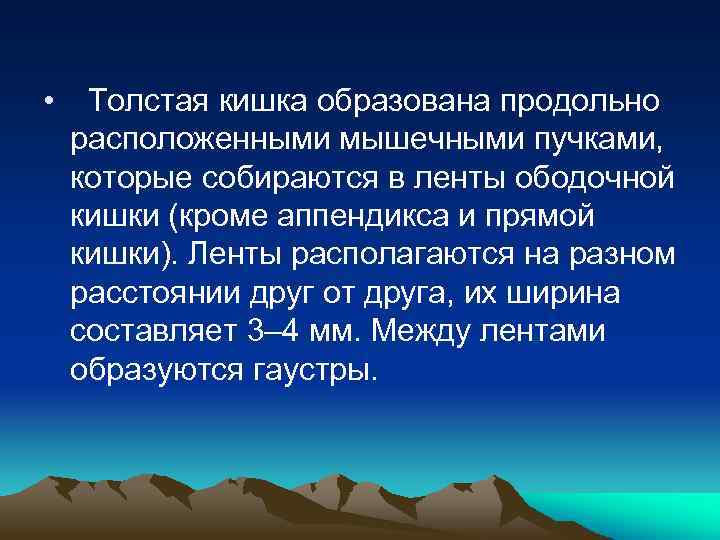  • Толстая кишка образована продольно расположенными мышечными пучками, которые собираются в ленты ободочной