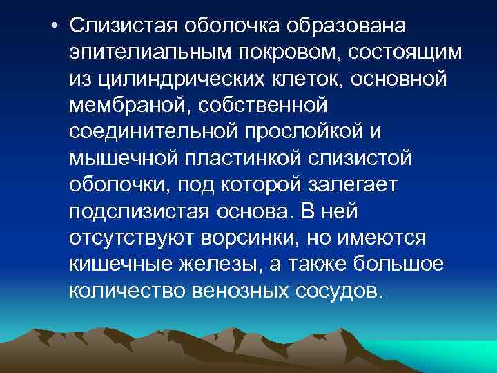  • Слизистая оболочка образована эпителиальным покровом, состоящим из цилиндрических клеток, основной мембраной, собственной